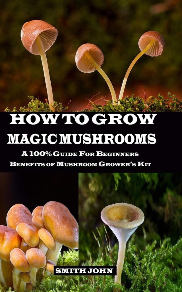 magic mushroom grow kit