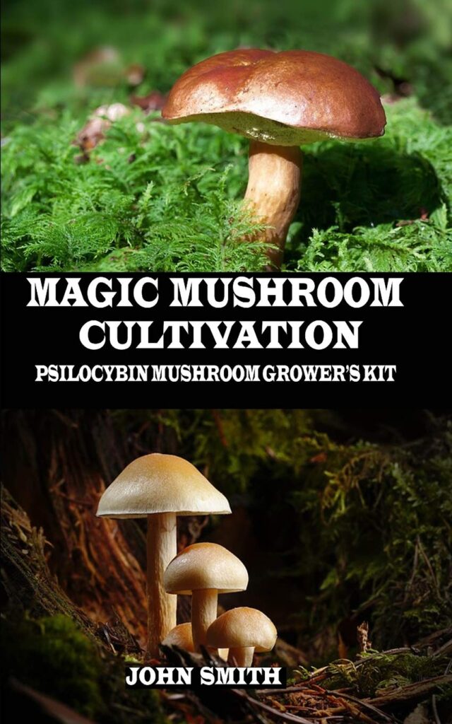 magic mushroom grow kit