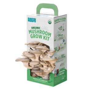 ORGANIC MUSHROOM GROW KIT